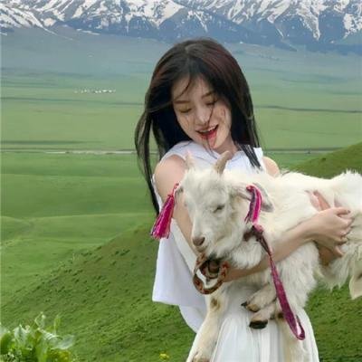 纽约爱未眠